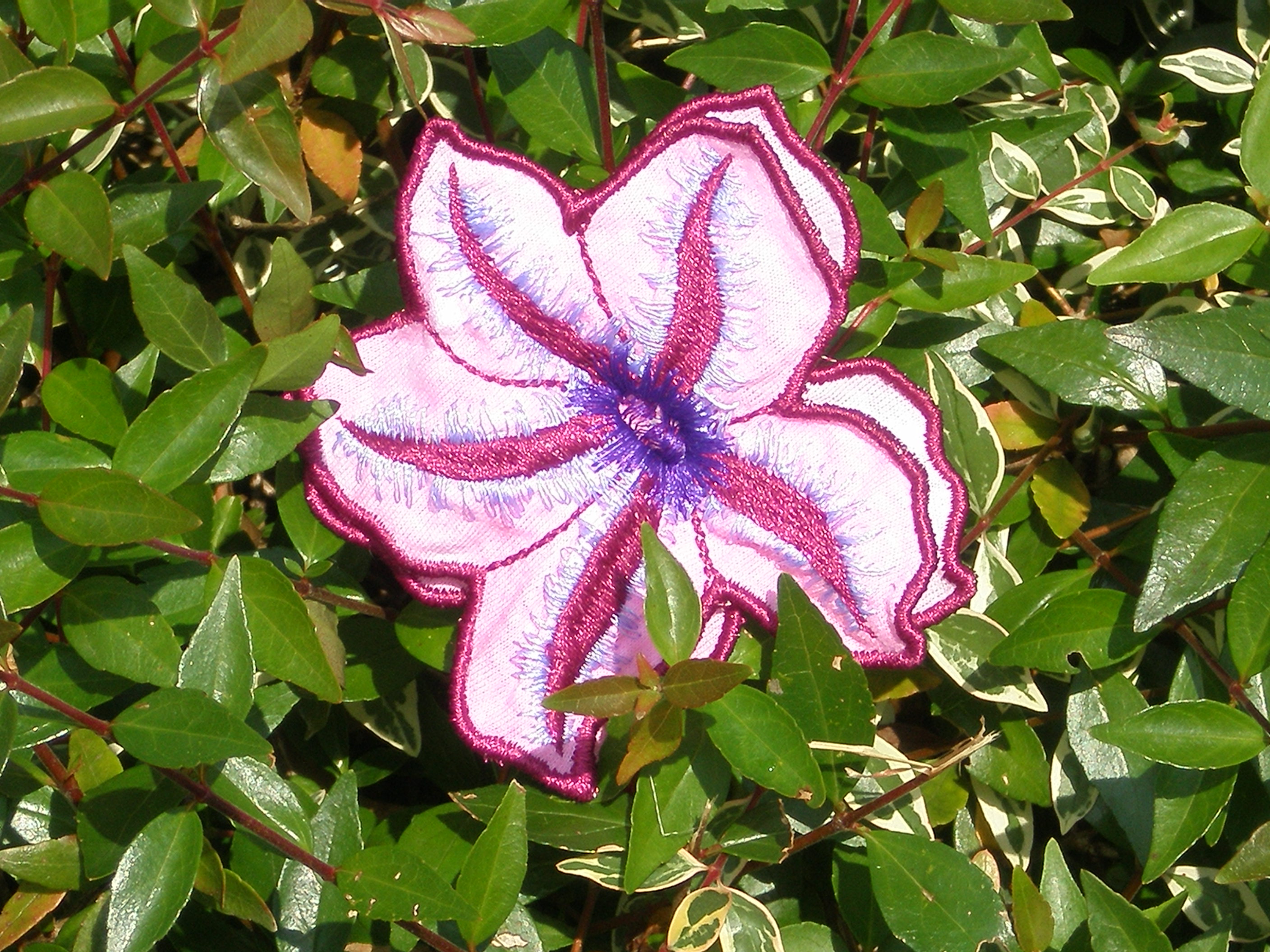 3Dflowerskit/pinkclematis.JPG