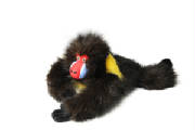 zoobies/BobotheBaboonPillow.jpg